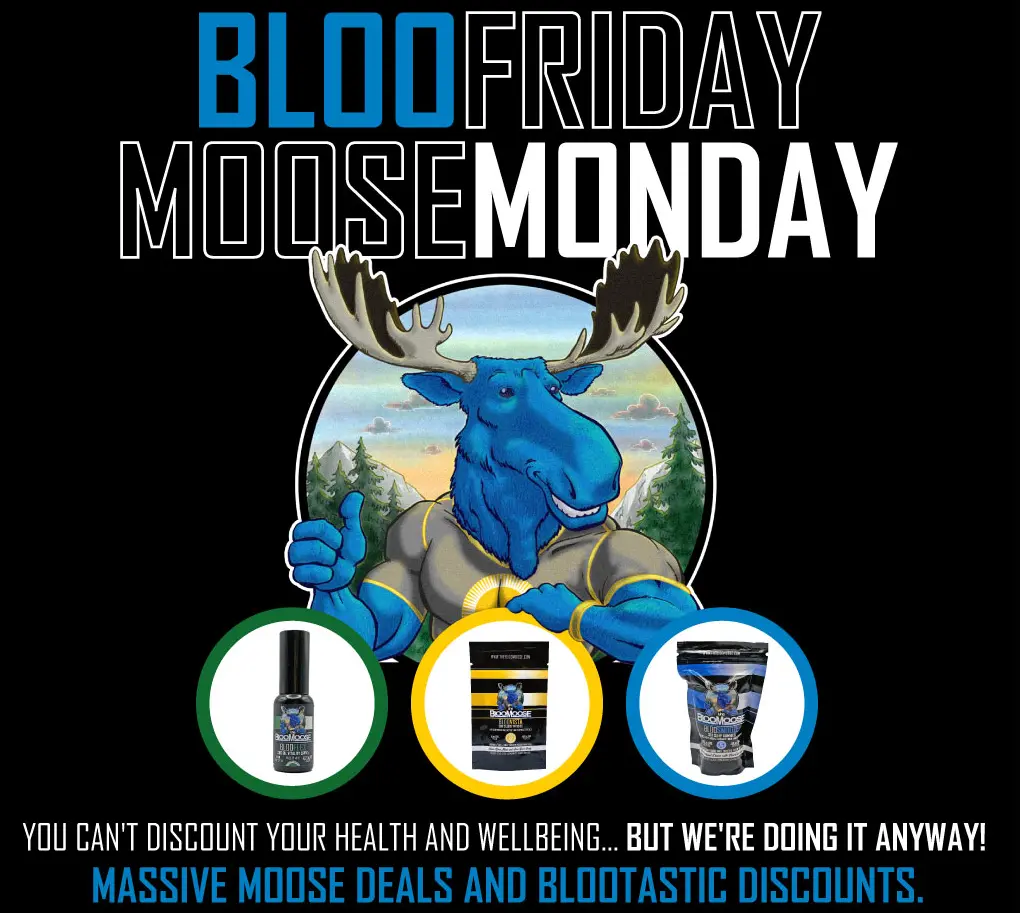 TheBlooMoose Black Friday Campaign